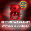 Lifetime Warranty - BloomBear™